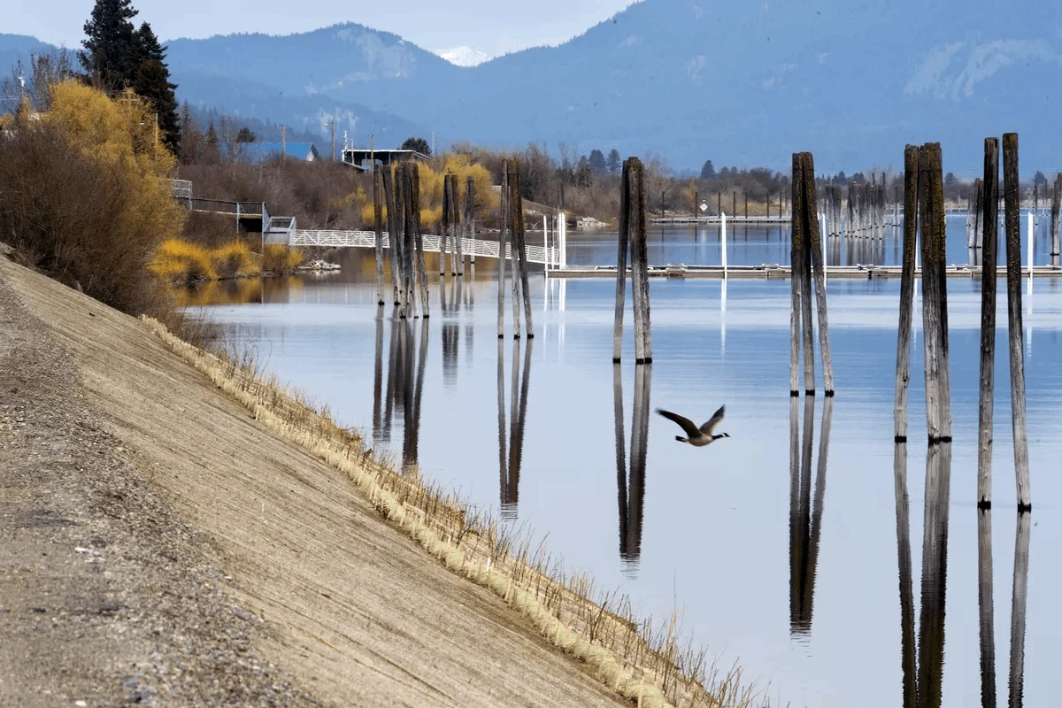 The Pend Oreille River shoreline at Cusick